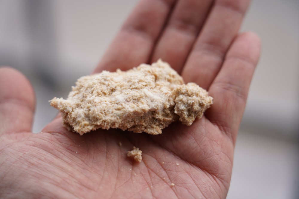 菌糸の張ったおから